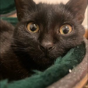 Meet your Posher, Ben